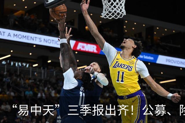 “易中天”三季报出齐！公募、险资加仓