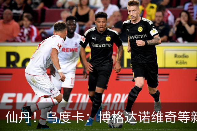 仙丹！乌度卡：博格达诺维奇等新援弥补了球队弱点 并增加了深度
