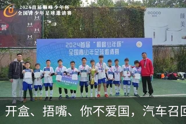 开盒、捂嘴、你不爱国，汽车召回，凭什么这么难？