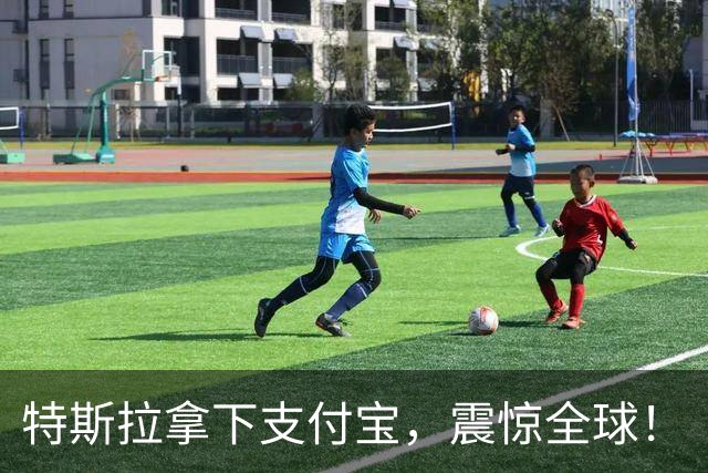 特斯拉拿下支付宝，震惊全球！