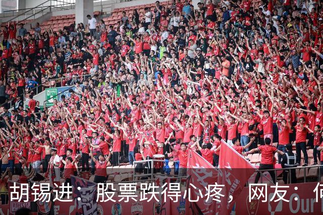 胡锡进：股票跌得心疼，网友：何止心疼，完全是肉疼