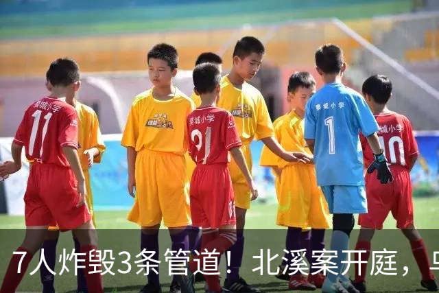 7人炸毁3条管道！北溪案开庭，乌克兰嫌疑人喊冤：基辅抛弃了我